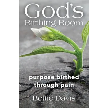 God's Birthing Room: Purpose Birthed Through Pain