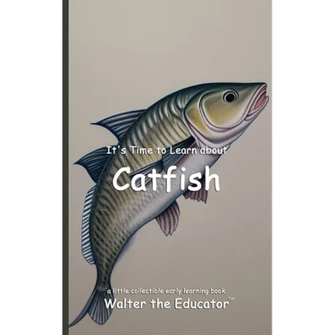 It's Time to Learn about Catfish
