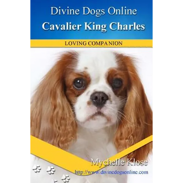 Cavalier King Charles Spaniel