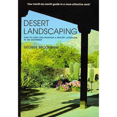 Desert Landscaping: How to Start and Maintain a Healthy Landscape in the Southwest