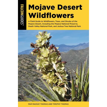 Mojave Desert Wildflowers