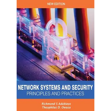 Network Systems and Security (Principles and Practices): Computer Networks, Architecture and Practices