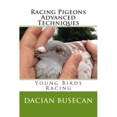 Racing Pigeons Advanced Techniques: Young Birds Racing