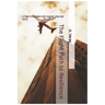 The Flight Path to Resilience: A Flight Attendant Story