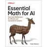 Essential Math for AI: Next-Level Mathematics for Efficient and Successful AI Systems