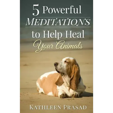 5 Powerful Meditations to Help Heal Your Animals