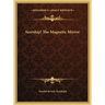 Seership! The Magnetic Mirror