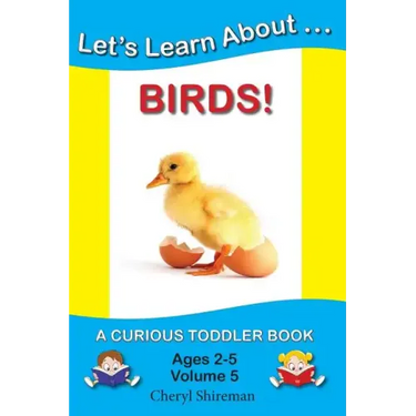 Let's Learn About...Birds!: A Curious Toddler Book