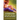 Someone Else's Child: A gripping and heartbreaking novel about family secrets