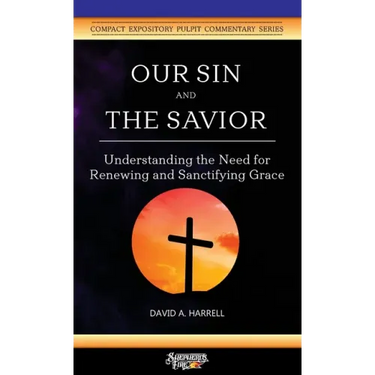 Our Sin and the Savior: Understanding the Need for Renewing and Sanctifying Grace