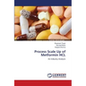 Process Scale Up of Metformin HCL