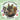 Faithful Furry Friends: Service Dogs