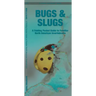 Bugs & Slugs: A Folding Pocket Guide to Familiar North American Invertebrates