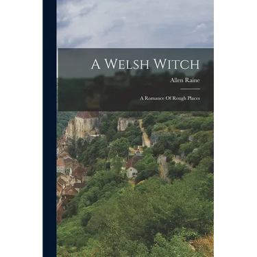 A Welsh Witch: A Romance Of Rough Places