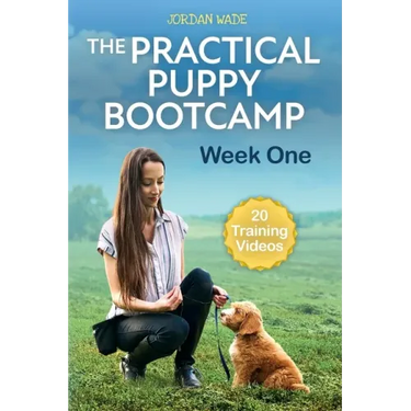 The Practical Puppy Bootcamp: Week One