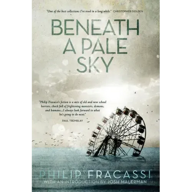 Beneath a Pale Sky
