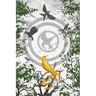 Ballad of Songbirds and Snakes Blank Writing Journal (Hunger Games)