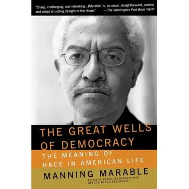 The Great Wells of Democracy: The Meaning of Race in American Life