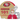 San Francisco 49ers 101