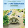 The Coastal Dune Drama: Bob, the Gopher Tortoise