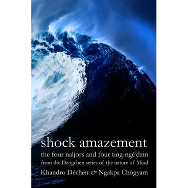 Shock Amazement