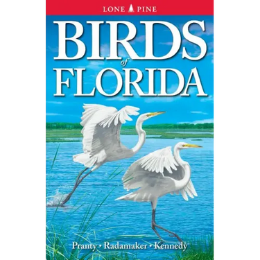 Birds of Florida