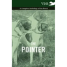 The Pointer - A Complete Anthology of the Breed