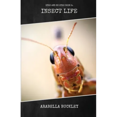Insect Life