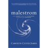 Malestrom: How Jesus Dismantles Patriarchy and Redefines Manhood