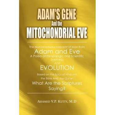 Adam's Gene and the Mitochondrial Eve