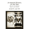 A Natural History of the Soul: Who are we anyway? What is our future?