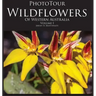 Phototour Wildflowers of Western Australia Vol1: A Photographic Journey Through a Natural Kaleidoscope