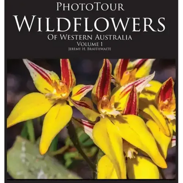 Phototour Wildflowers of Western Australia Vol1: A Photographic Journey Through a Natural Kaleidoscope