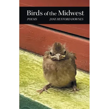 Birds of the Midwest