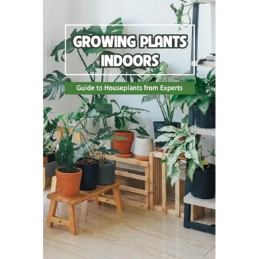 Growing Plants Indoors: Guide to Houseplants from Experts