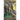 Galactic Medal of Honor