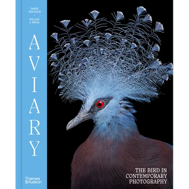 Aviary: The Bird in Contemporary Photography