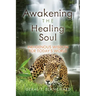 Awakening the Healing Soul: Indigenous Wisdom for Today's World
