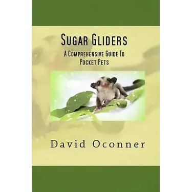 Sugar Gliders