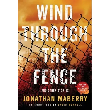 Wind Through the Fence: And Other Stories