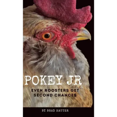 Pokey Jr: Even Roosters Get Second Chances
