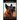 Red Heeler Training Book for Dogs & Puppies By D!G THiS Dog Training. Easy Training * Fast Results: Dog Training Begins From the Car Ride Home. Red He