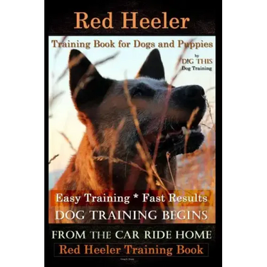 Red Heeler Training Book for Dogs & Puppies By D!G THiS Dog Training. Easy Training * Fast Results: Dog Training Begins From the Car Ride Home. Red He