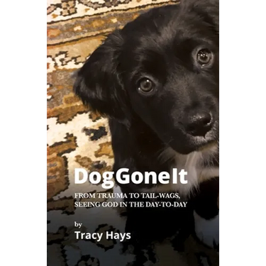 Dog Gone It: From Trauma to Tail-Wags, Seeing God in the Day-to-Day
