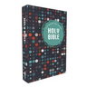 Niv, Outreach Large Print Bible for Kids, Paperback