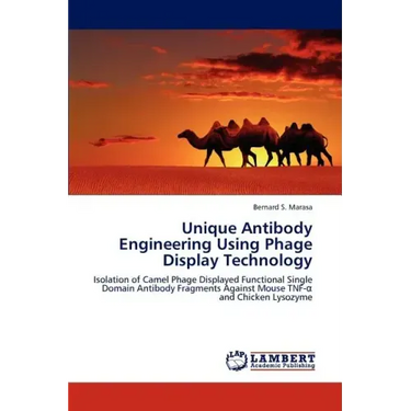 Unique Antibody Engineering Using Phage Display Technology