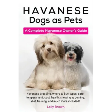 Havanese Dogs as Pets: Havanese breeding, where to buy, types, care, temperament, cost, health, showing, grooming, diet, training, and much m