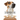 So God Made a Dog: 90 Devotions for Dog People