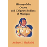 History Of The Ottawa And Chippewa Indians Of Michigan: A Grammar Of Their Language, And Personal And Family History Of The Author