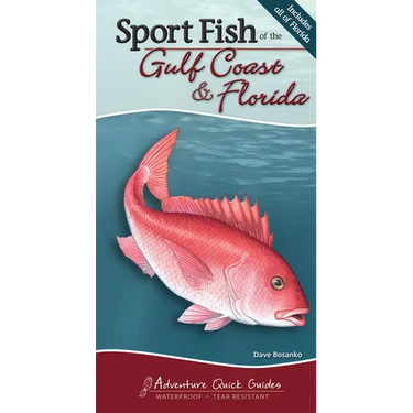 Sport Fish of the Gulf Coast & Florida: Your Way to Easily Identify Sport Fish